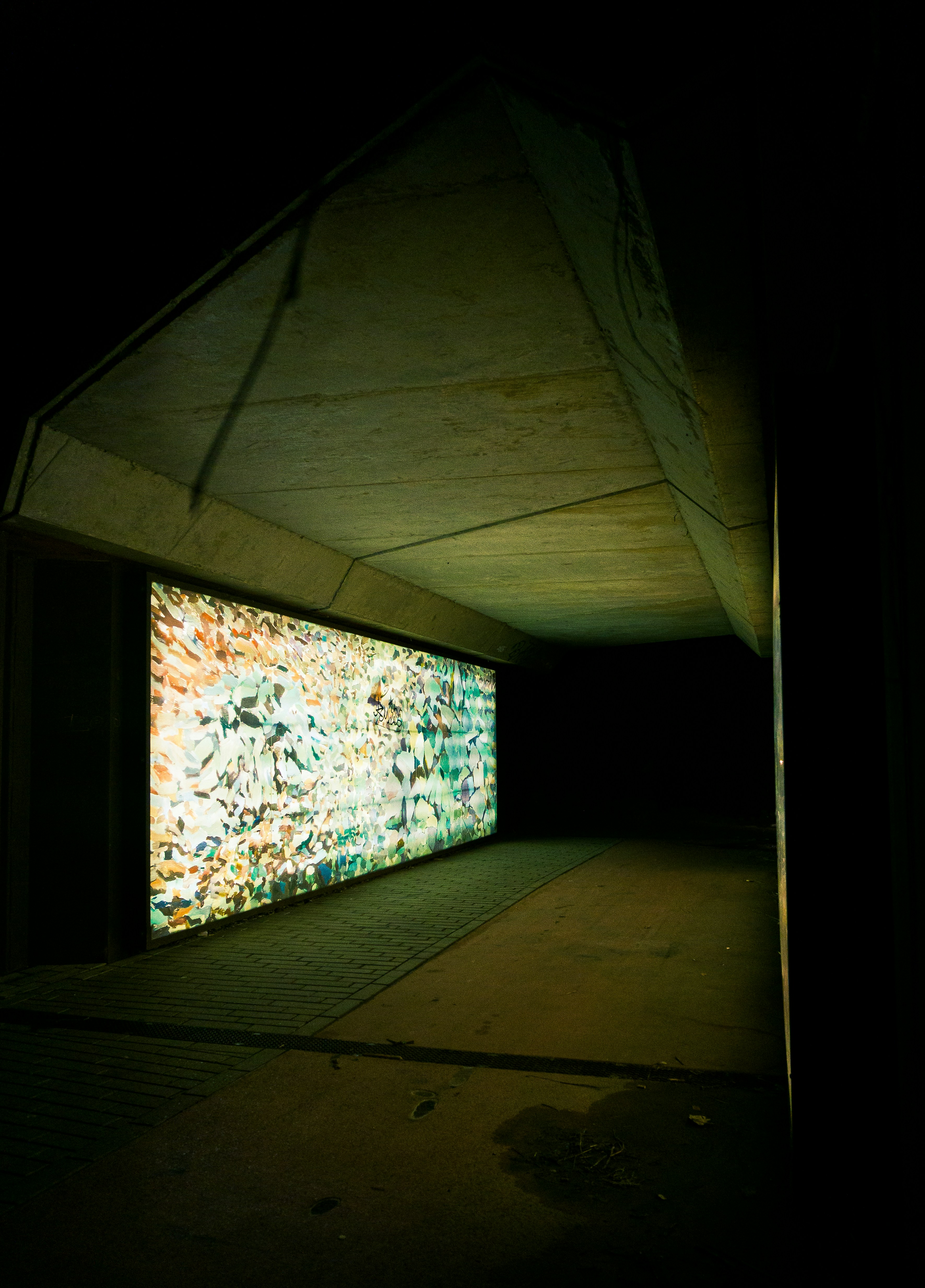 Livestream Equipment